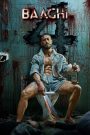 Baaghi 4 2025 Movie Review In Hindi Dubbed