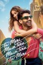 Tu Meri Main Tera Main Tera Tu Meri (2025) Movie Review In Hindi Dubbed